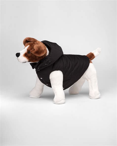 prada dog puffer jacket|Prada puffer jacket sale.